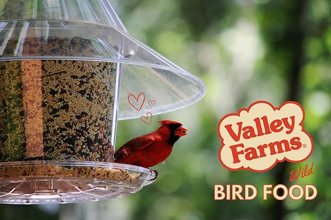Valley Farms Hi-Flite Wild Bird Food (5 LB) Outside feeders, Bird Seed with Millet, Crack Corn, Black Oil Sunflower Seeds Birds, Economy Bird Seed for Outside Feeders, Birdseed