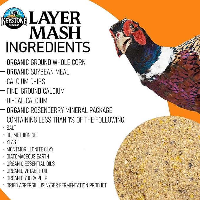 Layer Mash Chicken Feed – 44lb Bag – USDA Organic, Non-GMO, High Calcium for Strong Eggshells – for Chickens, Ducks, Geese, Pheasants & Guineas – No Artificial Hormones