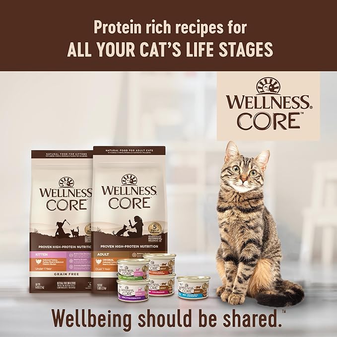 Wellness CORE Signature Selects Chunky Adult Wet Cat Food, Natural, Protein-Rich, Grain Free, 5.3 Ounce, 12 Pack (Chicken & Turkey)