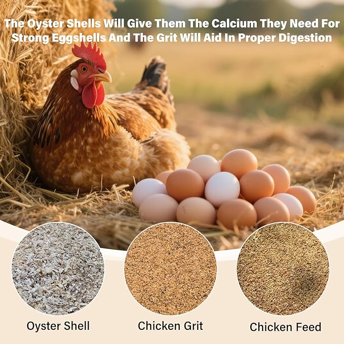 2 Pack Chicken Oyster Shell Feeder and Grit Device, Corner Chicken Feeder, Coop Accessories, Suitable for Hens and Chicks (Black+Red)