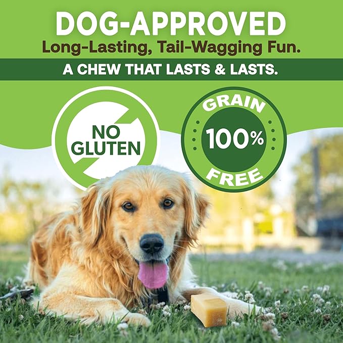 EcoKind Premium Gold Yak Cheese Himalayan Dog Chews, Healthy Dog Treats for Small Dogs, All Natural, High Protein Dog Chew, Cheese, Small - 8 Chews