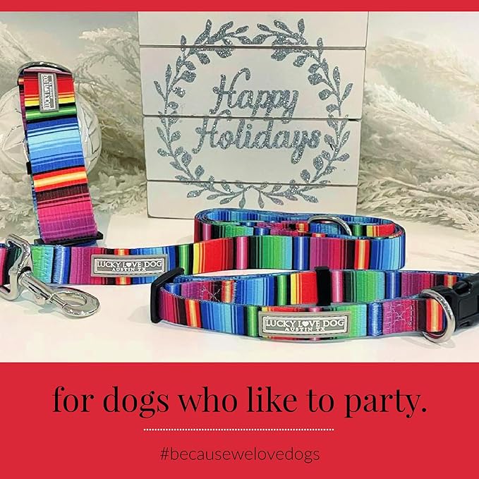 Lucky Love Dog - Adjustable Dog Collar with Easy Click Buckle for Small to Large Dogs, Durable, & Comfortable for Male & Female Dogs, Pet Collar for Puppies & Adult Ones - Nacho, XL