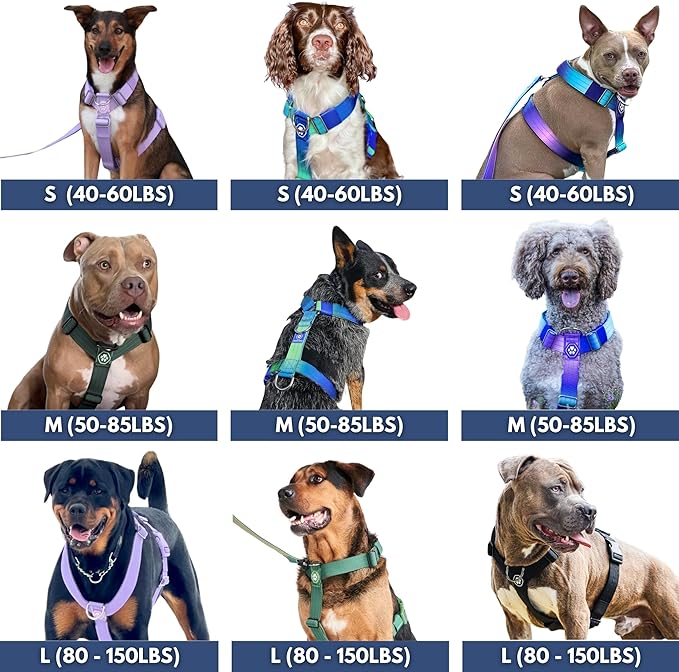 Spark Paws No Pull Dog Harness for Large Dogs, Heavy Duty Dog Harness for Big Strong Breeds, Adjustable, Y Shaped Padded Halter Design with Front Clip - Pastel Icing - S