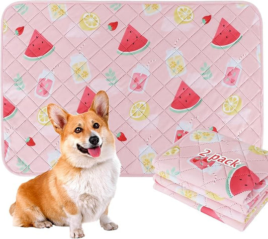 BVAGSS Washable Pee Pads for Dogs, 2-Pack Reusable, Leakproof, Waterproof, Super Absorbent, Watermelon, 36x24 Inch