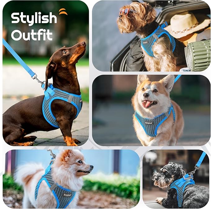 Eagloo Small Dog Harness and Leash Set, Step in Puppy Vest with Breathable Soft Mesh, Walking Reflective Pet Harness for Medium Small Dogs, Blue, M