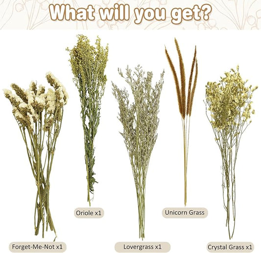 Fhiny Natural Hamster Bedding, Flower & Herb Hamster Bedding Mate Hamster Sprays Gerbil Habitat Decor Accessories for Dwarf Syrian Hamster Gerbil Mouse Mice Degus Lemming or Other Small Pets