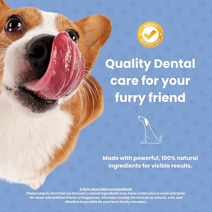 Dog Dental Powder | All-Natural for Teeth Cleaning | Plaque Remover for theeth and Breath freshener | Flavorless, Easy to Use | 3.17 oz - 60 supplys | Smile 2 Life