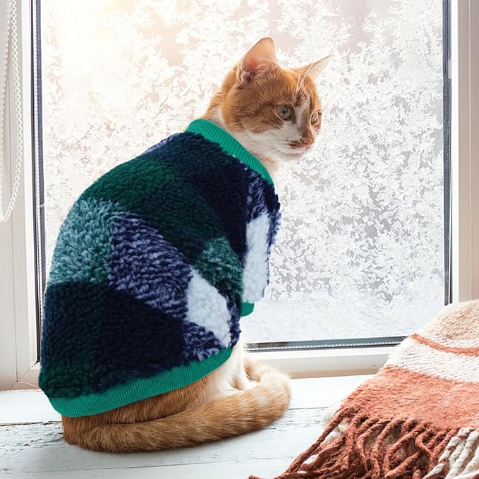 Cat Clothes -2 Legged Pullover Cat Sweater Soft Warm Pet Apparel Kitten Clothes for Kittens Only Elastic, Green L