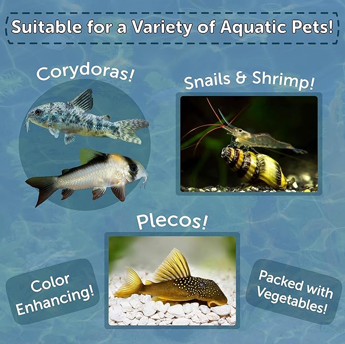 Aquatic Foods Inc. 8mm - 1/3" Small Sinking Wafers of Spirulina, Algae & Color Enhancing Wafers for Bottom Fish, Shrimp, Snails & Tropicals 4-Type Wafer & 12-Type Pellet Mix Included..6oz Canister