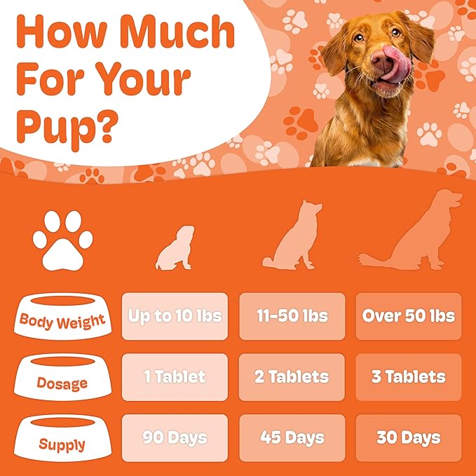 Canine Maintenance Formula- Lactoferrin-Based Bone and Joint Supplement for Dogs- 90 Ct Chewable Tablets, Liver and Sausage Flavor