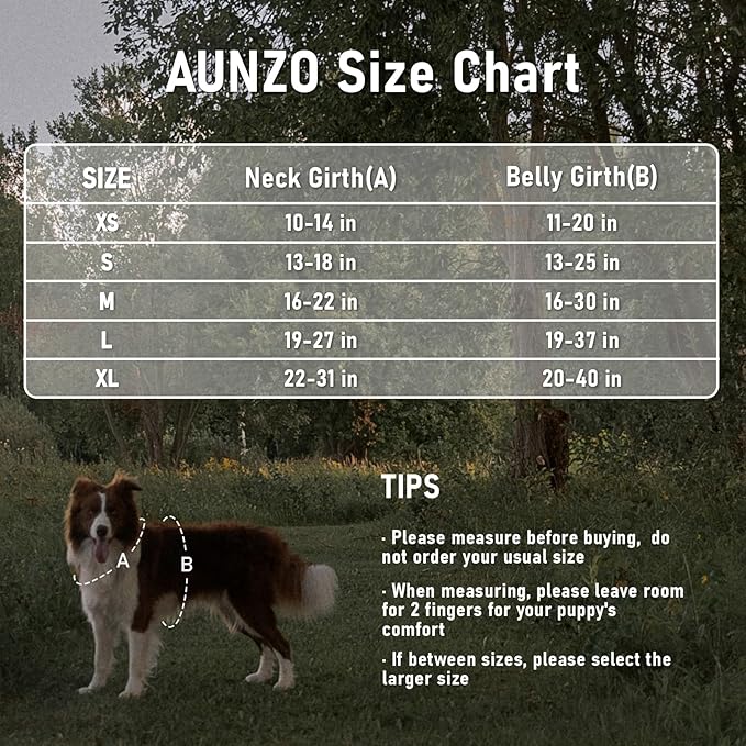 Extra Small Dog Vest Harness, No-Pull Pet Harness with 2 Leash Clips, Adjustable Soft Padded Dog Vest, Reflective No-Choke Pet Oxford Vest with Easy Control Handle for XSmall Breeds, Black, XS
