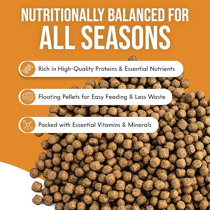 All Season Swim Koi Food 2.5lb (1 Pack 2.5lb)