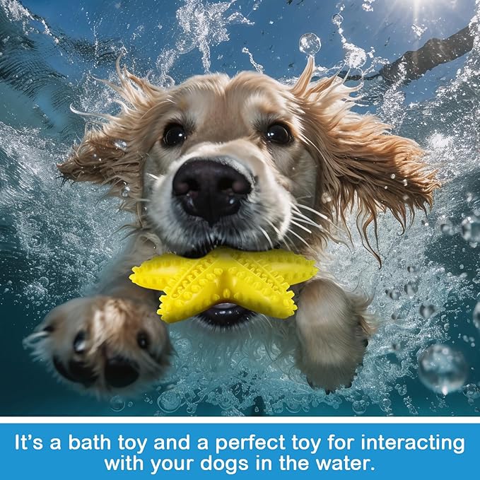 4 Pack Floating Dog Toys for Aggressive Chewers Summer Interactive Fetch Games Natural Teeth Cleaning for Small Medium Dogs Shark Dino Fish Starfish Set
