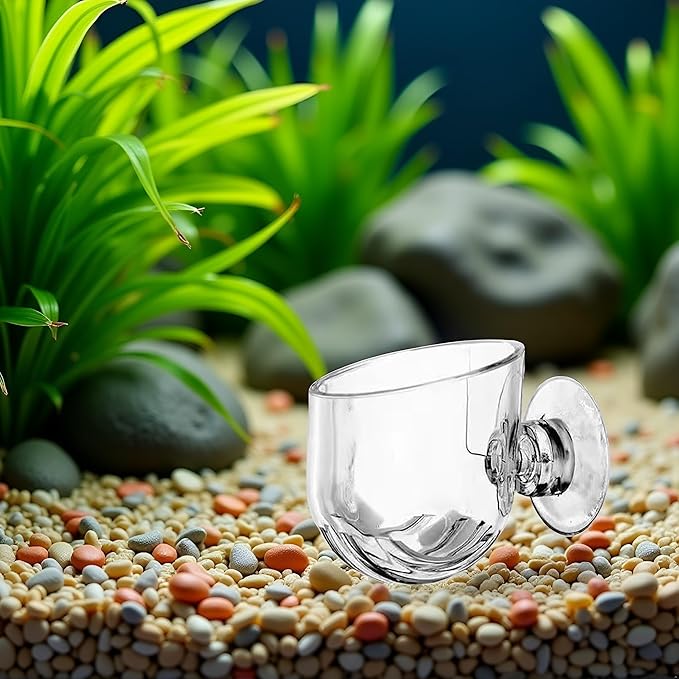 1Pc Oval Aquarium Plant Holder Cup - Crystal Glass Aquatic Plant Pot, Aquarium Aquatic Planter | Red Shrimp Live Plants Fish Tank Glass Holder