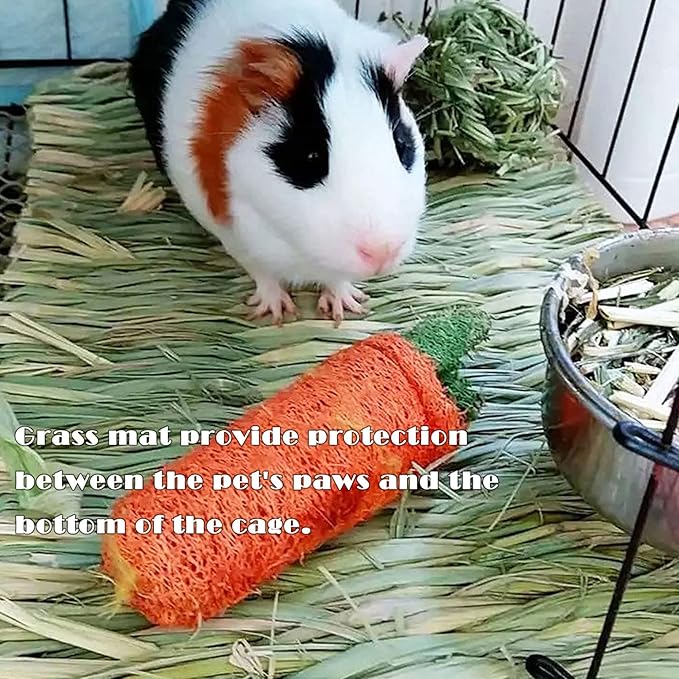 kathson Bunny Grass House Chew Toys Baby Rabbit Hideaway Hut Small Animals Grass Hideout Hand Woven Natural Hay Bedding for Guinea Pig Hamster Chinchilla