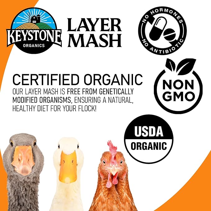 Layer Mash Chicken Feed – 44lb Bag – USDA Organic, Non-GMO, High Calcium for Strong Eggshells – for Chickens, Ducks, Geese, Pheasants & Guineas – No Artificial Hormones