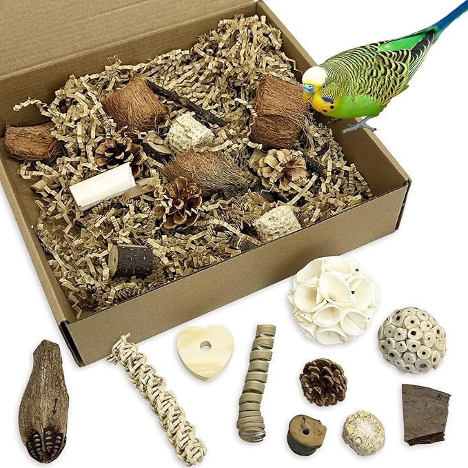 PINVNBY Bird Toys Natural Parrot Shredding Toy Interactive Bird Foraging Box and Chewing Toys for Conure Parakeet Budgie Cockatiel Lovebird Small-Medium Birds (Large)