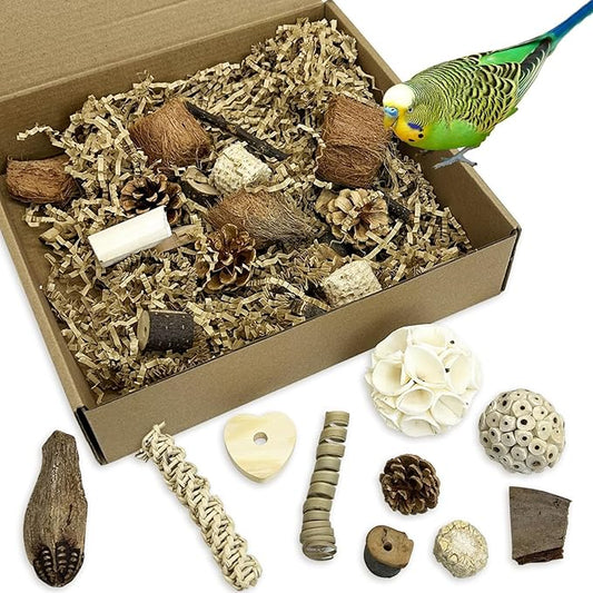 PINVNBY Bird Toys Natural Parrot Shredding Toy Interactive Bird Foraging Box and Chewing Toys for Conure Parakeet Budgie Cockatiel Lovebird Small-Medium Birds (Large)