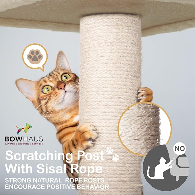 53” Wooden Cat Tree Tower for Indoor Large Cats & Kittens, Modern Tall Cat Climbing Tree w/Cave Condo, Scratching Posts, Space Capsule, Multi-Level Cat Tower w/Interactive Toy & Washable Pad