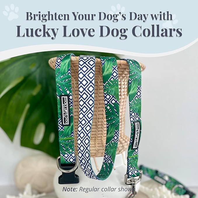 Lucky Love Dog Collar and Leash Set, Beautiful & Vivid Patterns, Easy On & Off Clasp Accessory (Blue Laguna, S Combo)