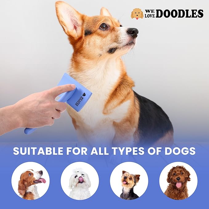 Slicker Brush for Dogs, Dog Grooming Supplies - Best Doodle & Poodle Brush for Long Haired Dogs - Goldendoodle Long Pin Detangler For Dematting (Medium Curved)
