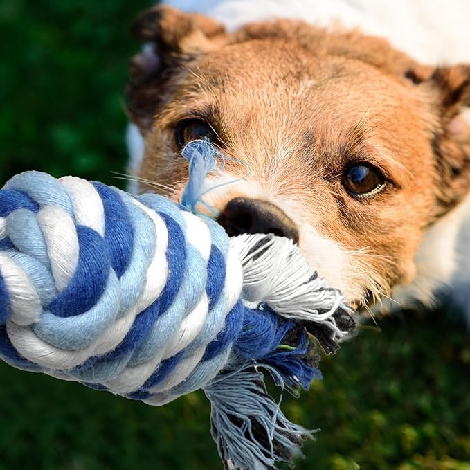 Dog Rope Toy 4 Pack - Puppy Teething Toys for Small Breed - Indestructible Dog Chew Toys for Aggressive Chewers - Cotton Tug of War Dog Toys for Boredom, Teeth Clean