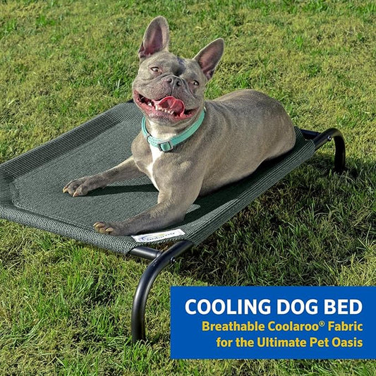 Coolaroo Original Elevated Dog Bed - Breathable Off-The-Ground Pet Bed with Cooling Fabric, Joint Relief & Moisture-Resistant Fabric, 100% Recyclable, Easy Clean, Gray, Extra Large