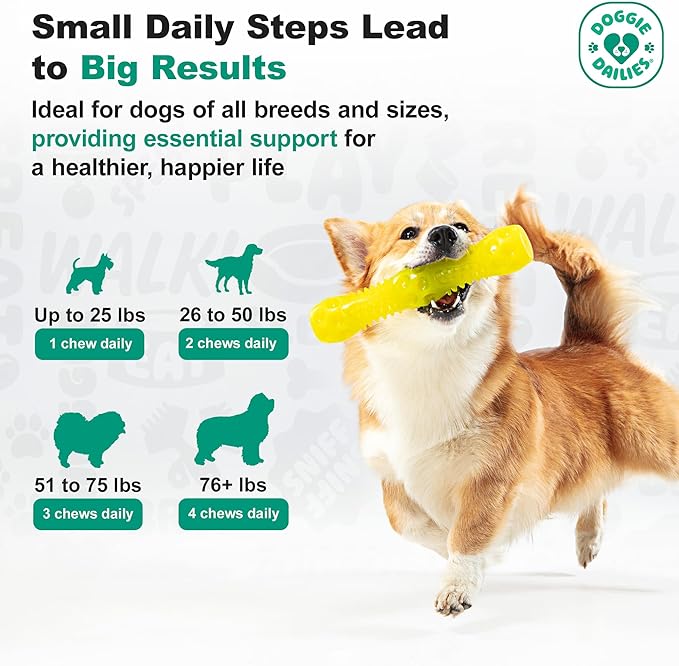 Doggie Dailies Skin & Coat Supplement Support, Salmon Oil for Dogs Skin and Coat with Collagen, Omega 3, Krill Oil, Biotin, & Coconut Oil for Dogs (Salmon) 225 Soft Chews