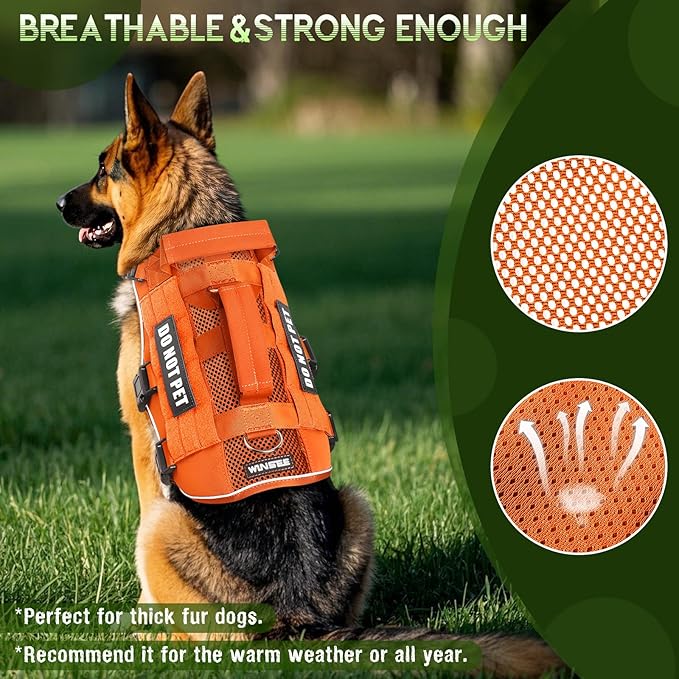 WINSEE Mesh Dog Harness with 10 Pet Patches for Large Service Dog in Training, Breathable Tactical Molle Vest with Double Handle, Reflective Military Pet Vest for Walking Hiking