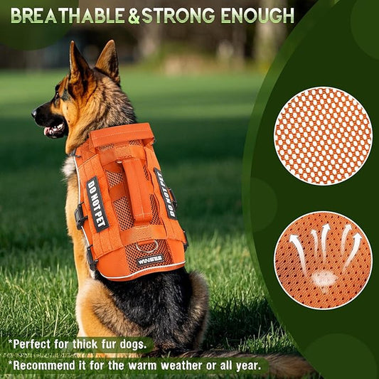 WINSEE Mesh Dog Harness with 10 Pet Patches for Large Service Dog in Training, Breathable Tactical Molle Vest with Double Handle, Reflective Military Pet Vest for Walking Hiking