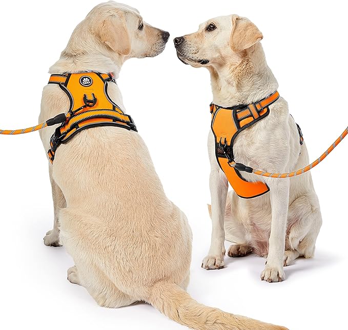 NESTROAD No Pull Dog Harness,Adjustable Oxford Dog Vest Harness with Leash,Reflective No-Choke Pet Harness with Easy Control Soft Handle for Large Dogs(X-Large,Orange)