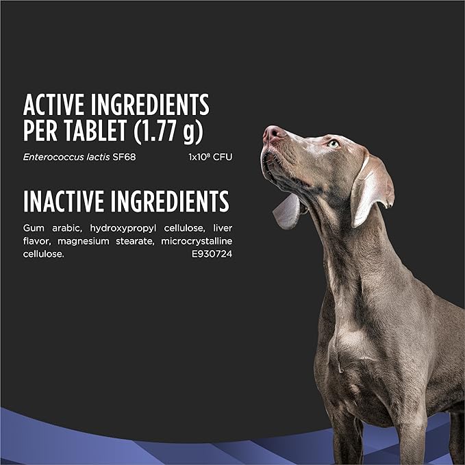 Purina Pro Plan Veterinary Supplements FortiFlora Chewable Dog Probiotic Supplement Tablets - 45 ct. Canister
