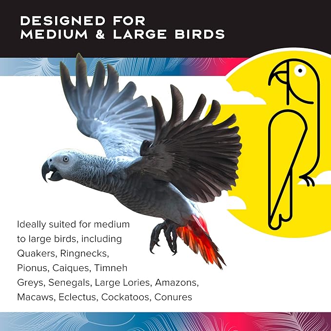 Featherland Paradise - Creative Foraging Systems Mastermind Heart, Interactive Cage-Mounted Bird Treat Toy