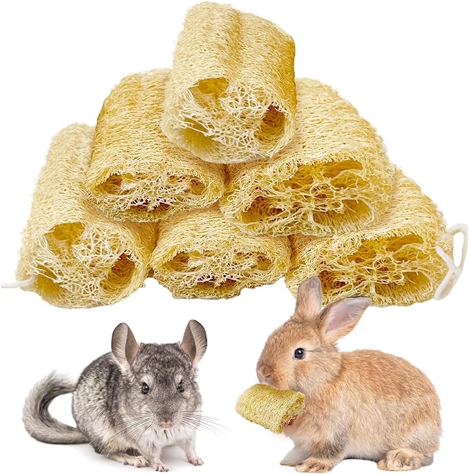 BNOSDM Bunny Chew Toys Natural Loofah 6PCS Bunny Teeth Grinding Toy Rabbit Fiber-Rich Treats Pet Entertainment Accessories for Rabbits Chinchillas Guinea Pig（M）