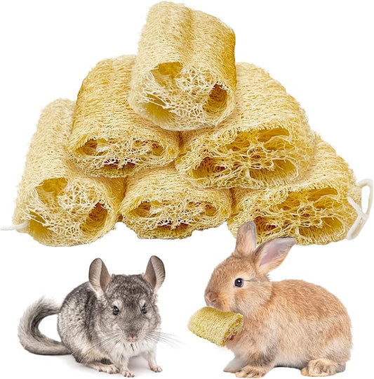 BNOSDM Bunny Chew Toys Natural Loofah 6PCS Bunny Teeth Grinding Toy Rabbit Fiber-Rich Treats Pet Entertainment Accessories for Rabbits Chinchillas Guinea Pig（M）