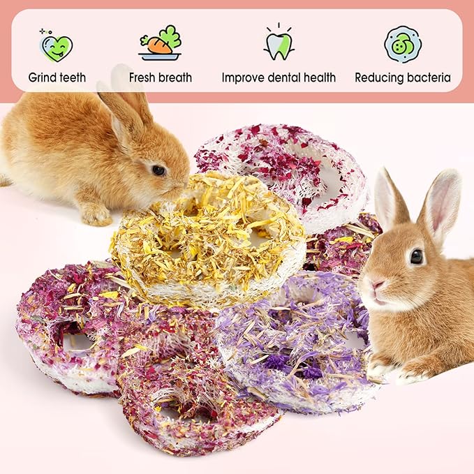 Natural Organic Loofah Chew Toys for Rabbits & Small Pets (6 Pcs) – Handmade Dental Care, Stress Relief, Safe Floral Scent