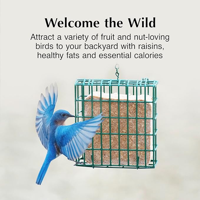 C&S Party Mix Suet Treat, Suet Cakes for Wild Birds, 11 Ounces, Pack of 8