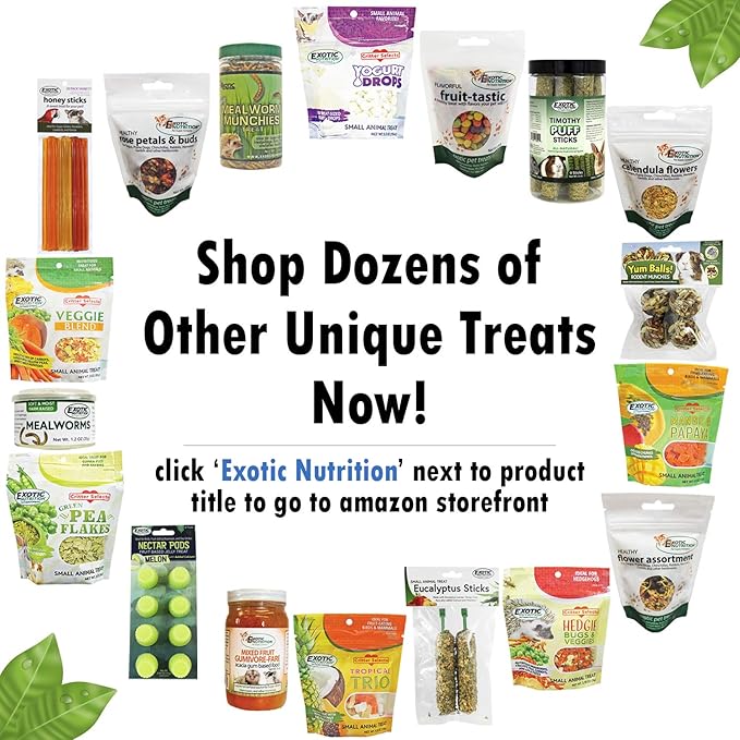 Nectar Pods (Melon) - Calcium-Fortified Jelly Fruit Treat - Sugar Gliders, Marmosets, Squirrels, Parrots, Cockatiels, Parakeets, Lovebirds, Conures, Hamsters, Day Geckos, Kinkajous & Other Small Pets