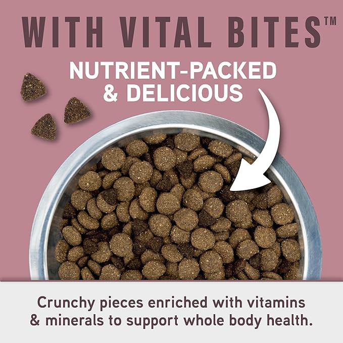 Natural Balance Specialized Nutrition Dry Dog Food with Salmon and Oatmeal for Dogs, Sensitive Skin & Stomach Dog Food, Natural Ingredients with Added Vitamins & Minerals - 22 lbs