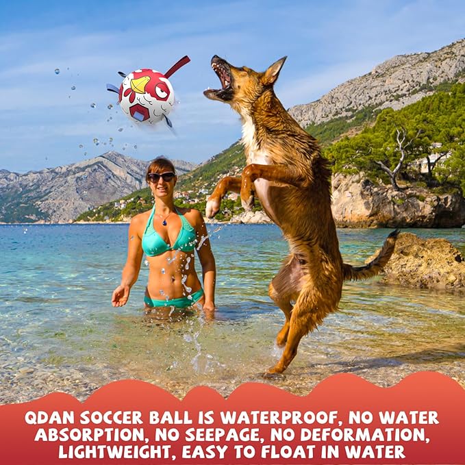 QDAN Premium Dog Balls Toys, Outdoor Dogs Toy for Small Medium Dogs, Puppy Birthday Gifts, Dog Soccer Ball, 6 Inch, Chicken Ball