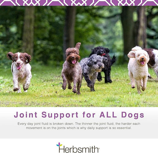 Herbsmith Sound Dog Viscosity – Advanced Joint Support for Dogs – Veterinarian Recommended Glucosamine for Dogs, Hyaluronic Acid, Chondroitin, MSM – Natural Arthritis Pain Relief – 60ct Large Chews