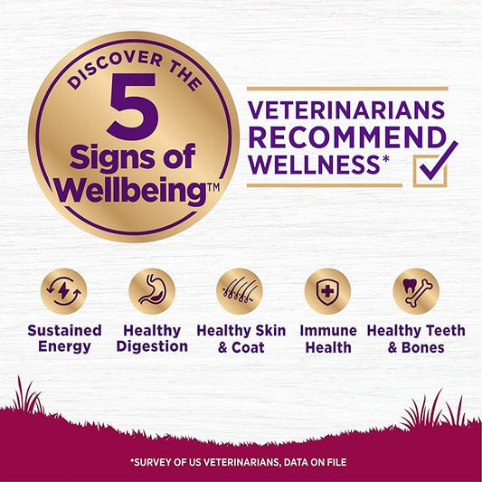 Wellness Complete Health Small Breed Dry Dog Food with Grains, Natural Ingredients, Made in USA with Real Turkey, For Dogs Up to 25 lbs (Adult, Healthy Weight Turkey & Rice, 4-Pound Bag)