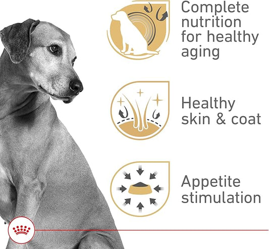 Royal Canin Canine Health Nutrition Mature Adult In Gel Canned Dog Food, 13.5 oz can (12-count)