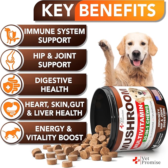 (2 Pack) Mushroom for Dogs - 340 Chews - Turkey Tail - Mushroom Supplement for Dogs - Lions Mane - Reishi - Immunity Support Multivitamin Vitamins - Joint Health - Energy - Gut - Skin - Made in USA