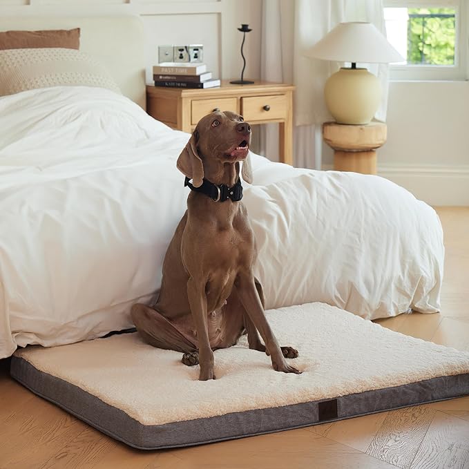 DaysU Dog Bed for Extra Large Dogs, Orthopedic Dog Beds with Removable Washable Cover, XL Egg Crate Foam Pet Bed Mat, Grey, Suitable for Dogs Up to 100 Ibs, 44x32x3in