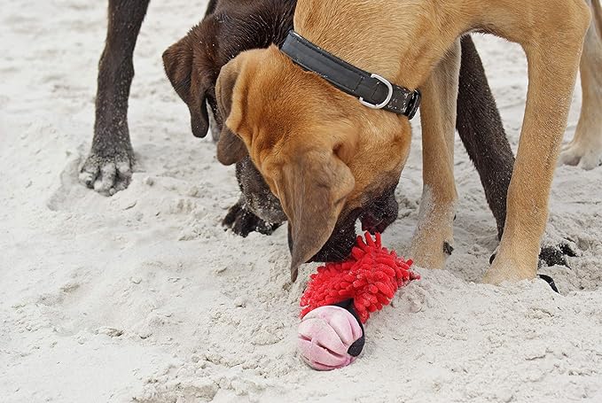 Dingo Dog tug of war Toy for Outdoor Play and Traning Agility, Interactive Toy with Bungee Shock Absorber and Rubber Ball, Cuddly and Shaggy Plush tug Toy for Motivation and Fun, Color: red 15588