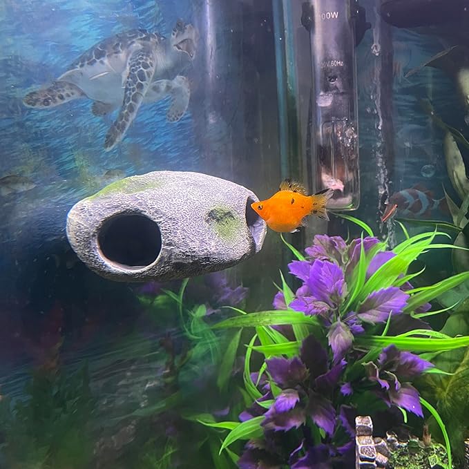 Aquarium Decor Magnetic Rock Cave Ornament – Wall-Mounted Fish Tank Accessory