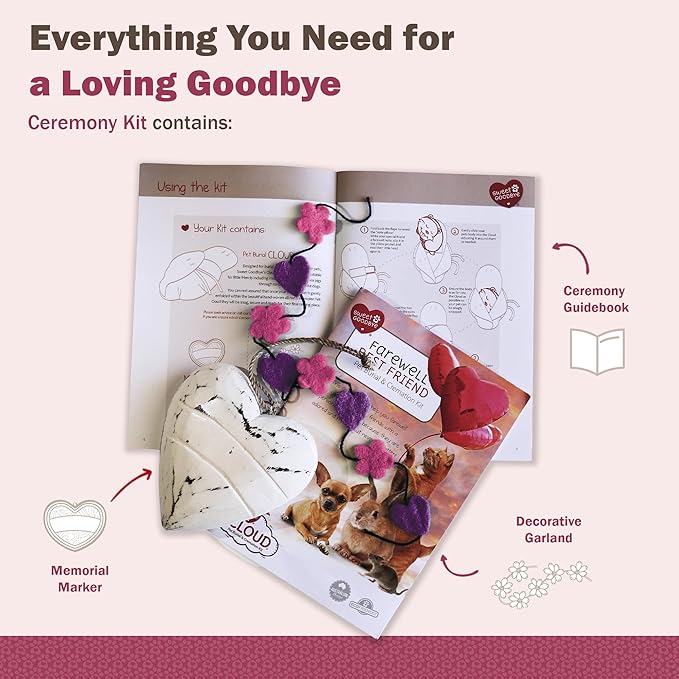 Cloud® - Eco-Friendly Pet Burial & Cremation Ceremony Kit - Casket for Smaller Pets: Rabbits, Hamsters, Gerbils, Birds, Fish, Reptiles, Small Cats (Choose Size & Color)(Small, Magenta)