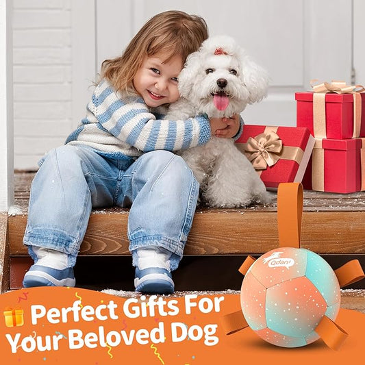 QDAN Small Dog Balls: Dog Soccer Ball with Straps- Premium Dog Toys Balls- Puppy Outdoor Dog Toys Pet Training Ball Birthday Gifts for Small Dogs- Rainbow Orange (5 Inch)
