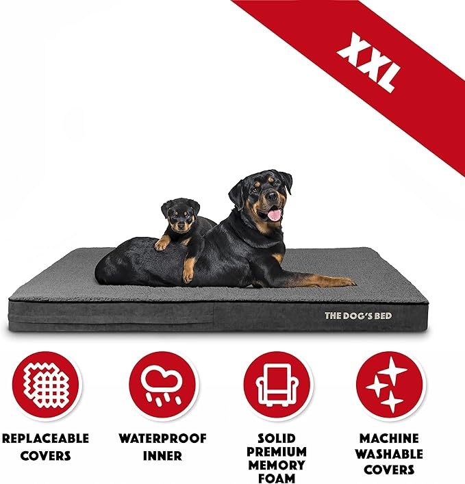 The Dog’s Bed Orthopedic Memory Foam Dog Bed, 2XL Grey Plush, Pain Relief for Arthritis, Hip & Elbow Dysplasia, Post Surgery, Lameness, Supportive, Calming, Waterproof Washable Cover
